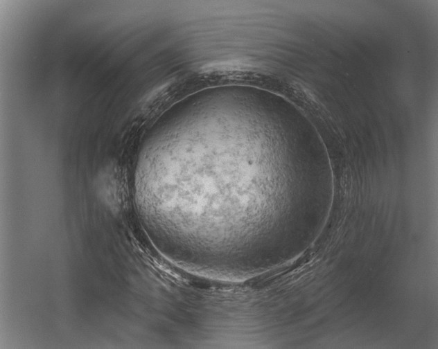 X0000058801062200509301201