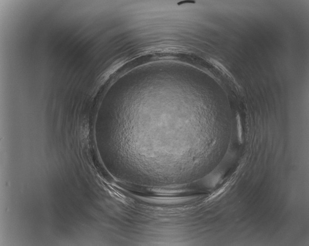 X0000058801065200509301201