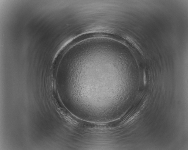 X0000058801069200509301201