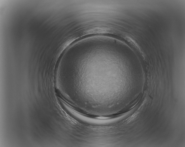 X0000058801081200509301201