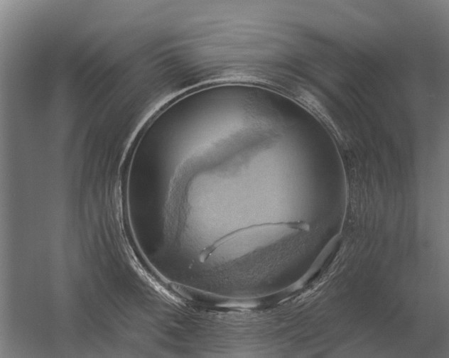 X0000058801092200509301201