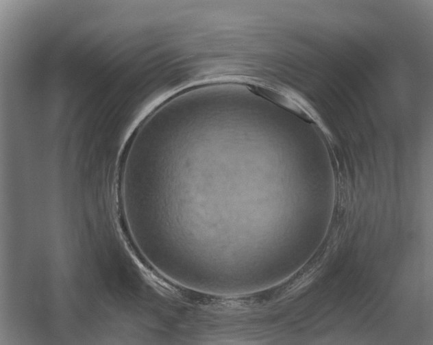 X0000058801101200509301201