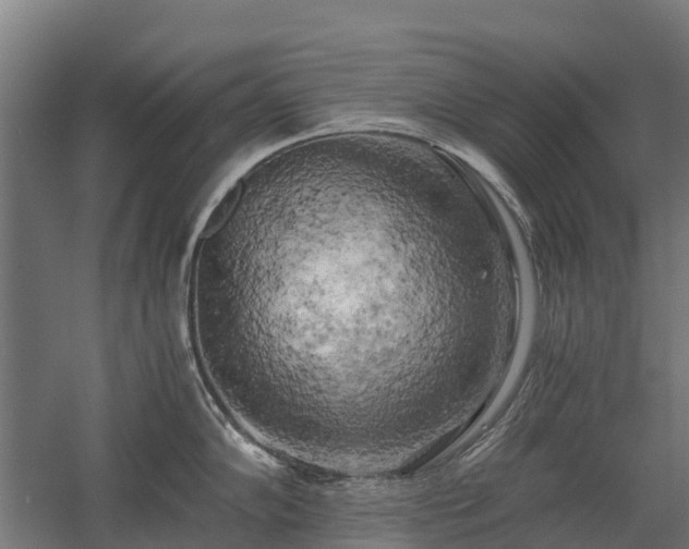 X0000058801102200509301201