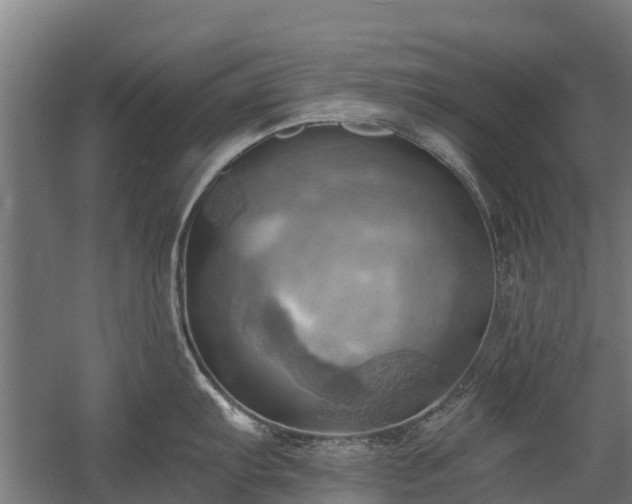 X0000058801103200509301201
