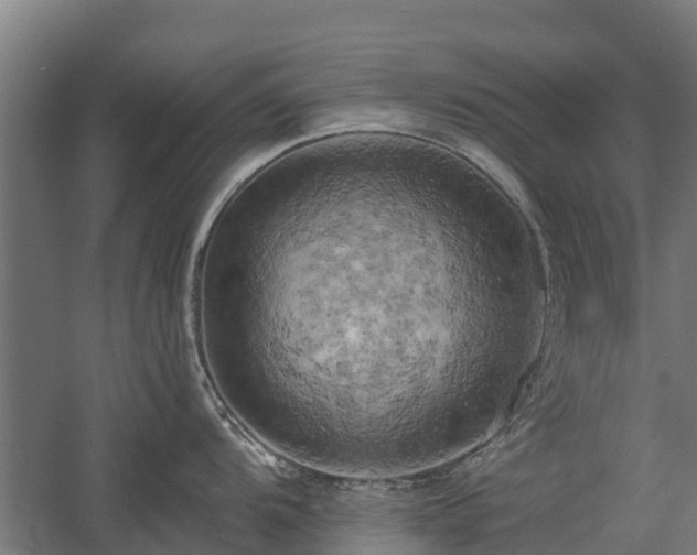 X0000058801104200509301201