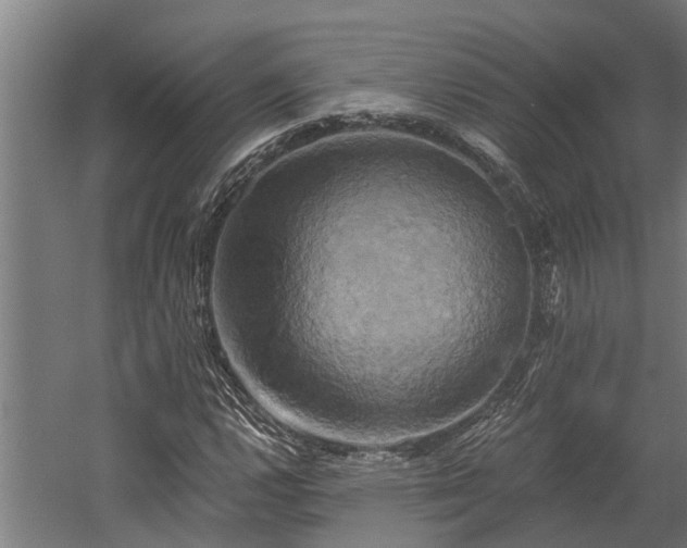 X0000058801112200509301200