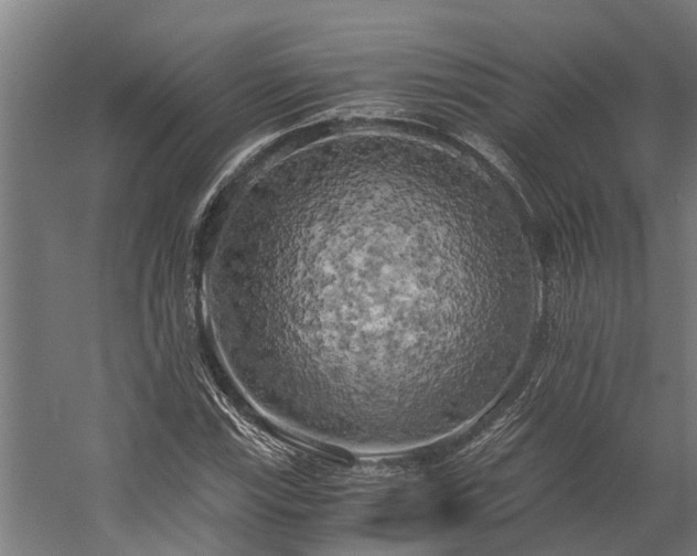 X0000058801115200509301200