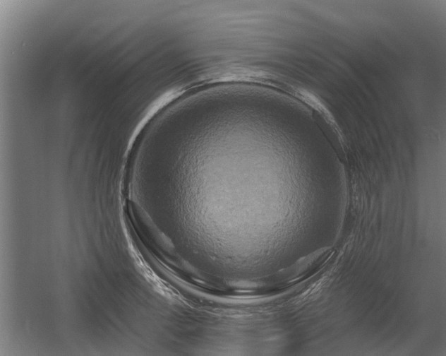 X0000058801138200509301200
