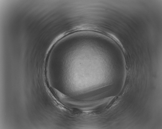X0000058801146200509301200