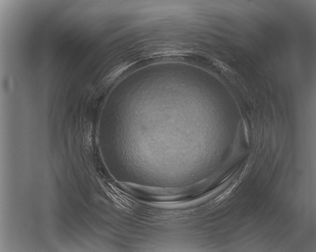 X0000058801161200509301200