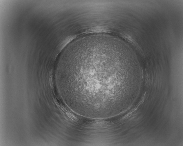X0000058801162200509301200