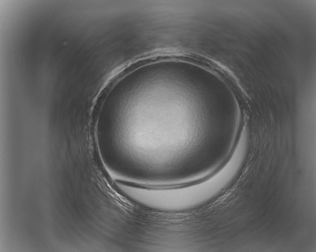 X0000058801168200509301159