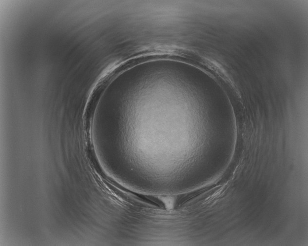 X0000058801172200509301159