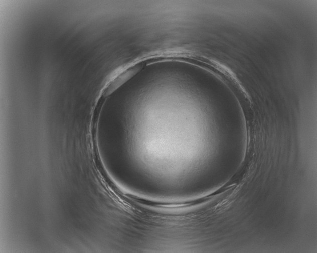 X0000058801176200509301159