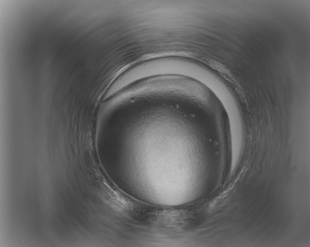 X0000058801177200509301159