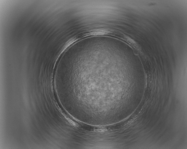 X0000058801186200509301159