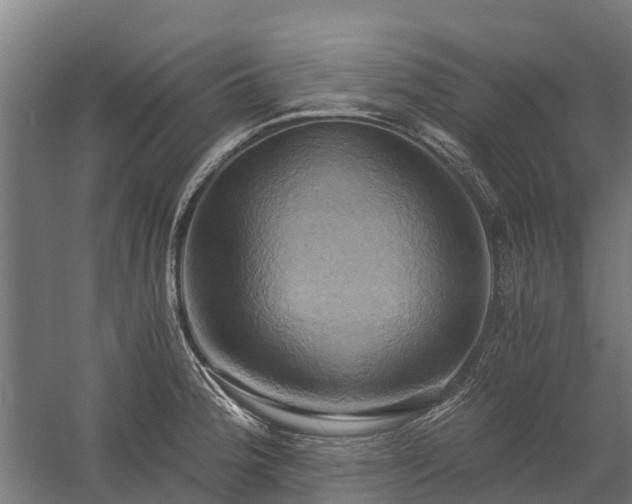 X0000058801188200509301159