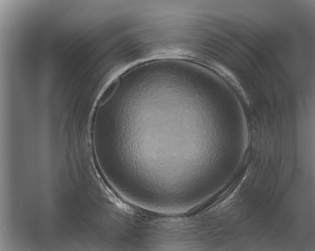 X0000058801192200509301159