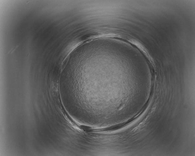X0000058801193200509301159