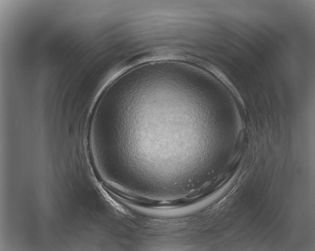 X0000058801197200509301159