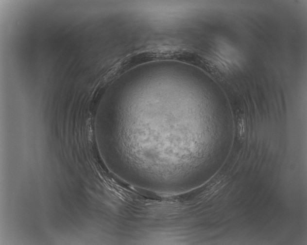 X0000058801204200509301158