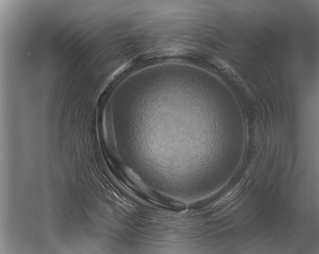 X0000058801210200509301158