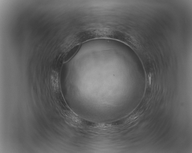 X0000058801251200509301158