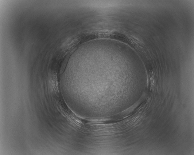 X0000058801252200509301158