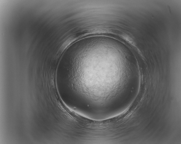 X0000058801273200509301158