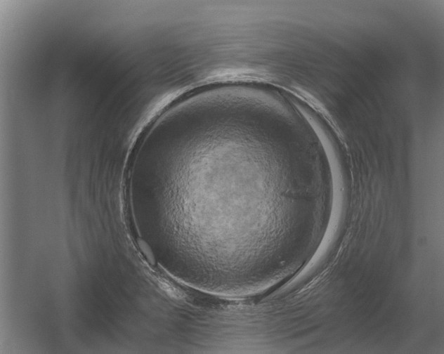 X0000058801277200509301158
