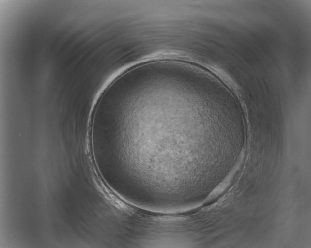 X0000058801296200509301157