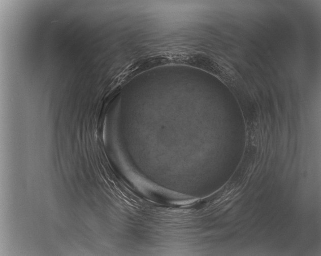 X0000058801298200509301156