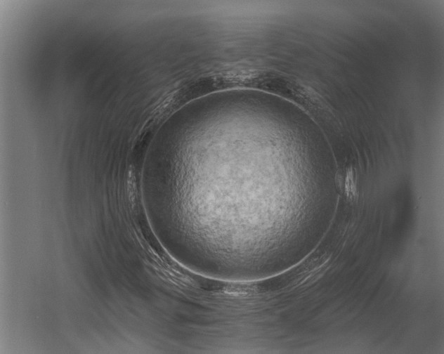X0000058801299200509301156