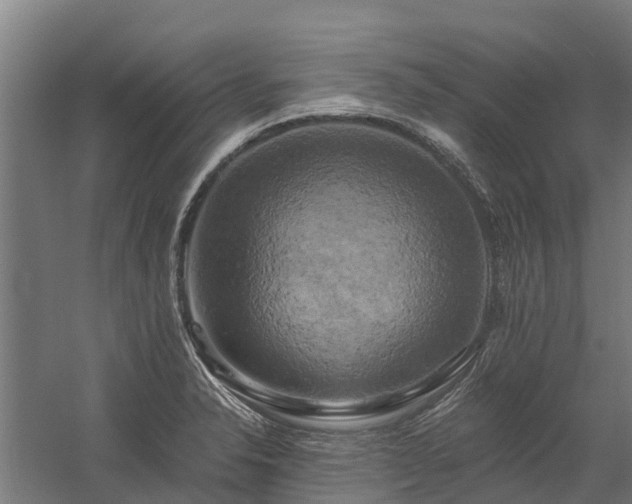 X0000058801326200509301157