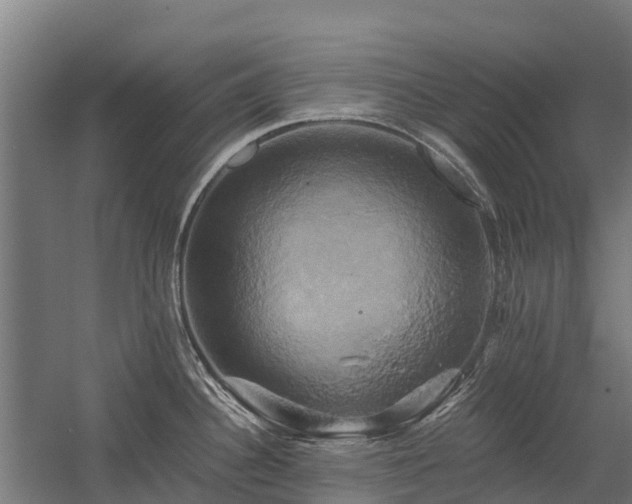 X0000058801340200509301157