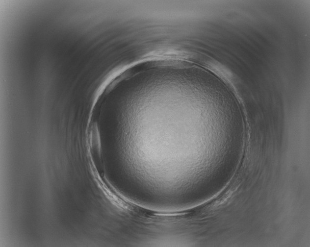 X0000058801344200509301157