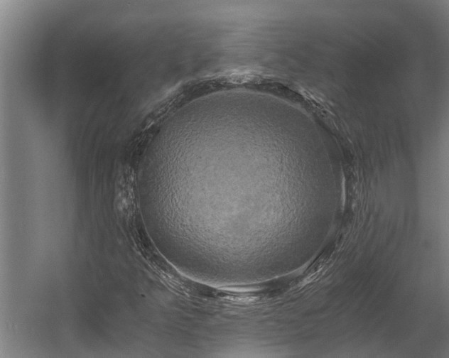 X0000058801349200509301156