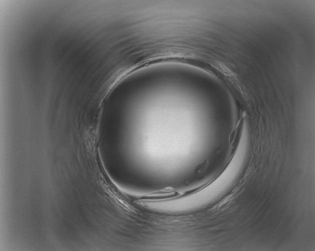X0000058801369200509301156