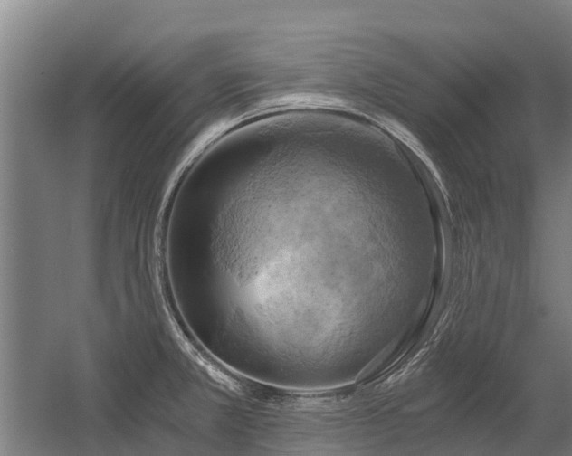 X0000058801381200509301156