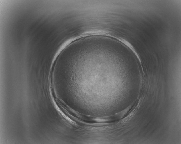 X0000058801389200509301156