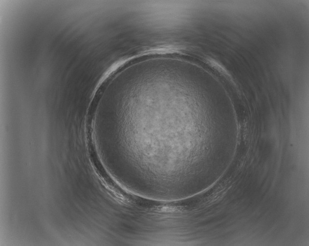 X0000058801412200509301155