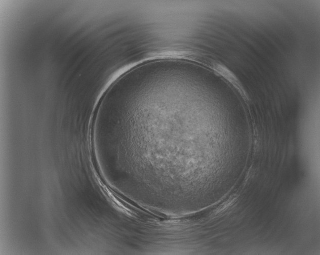 X0000058801436200509301156