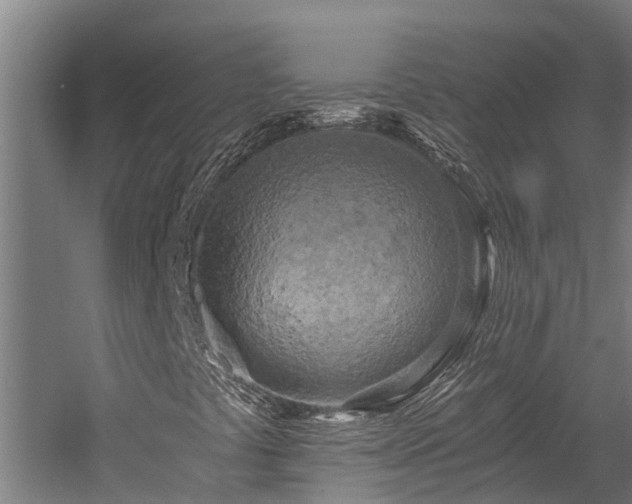 X0000058801441200509301155