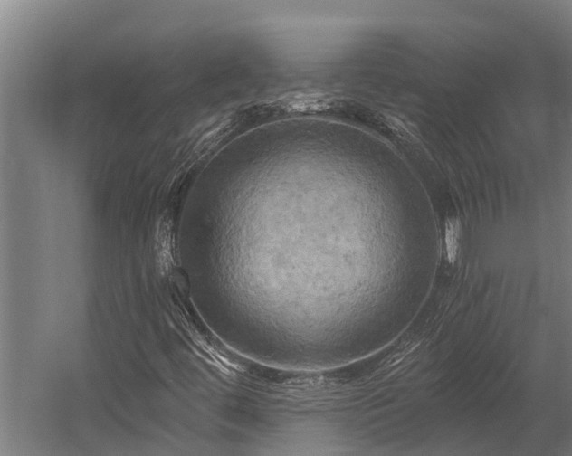 X0000058801444200509301155