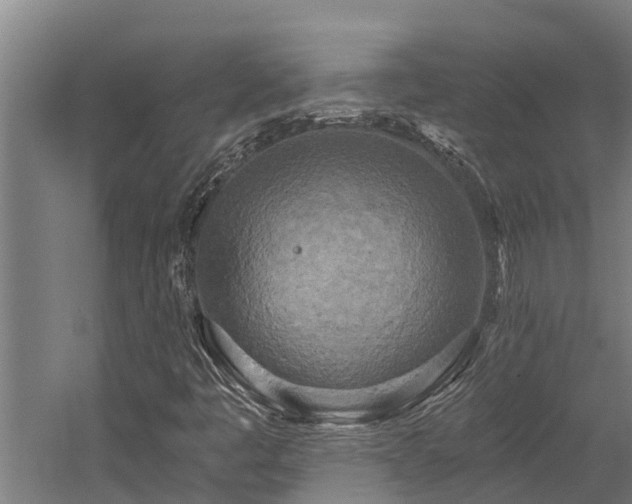 X0000058801445200509301155