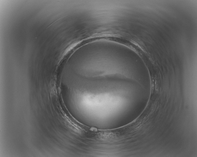 X0000058801452200509301155