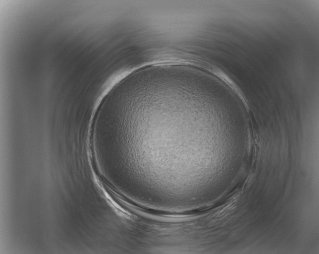 X0000058801485200509301154