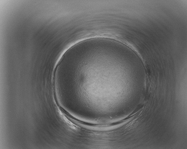 X0000058801532200509301154