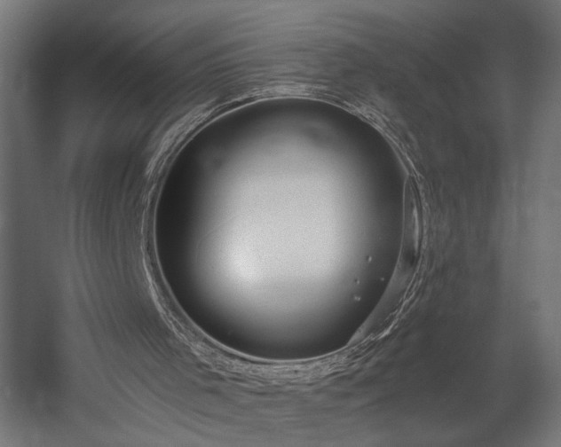 X0000058800001200510031332