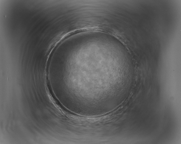 X0000058800002200510031332